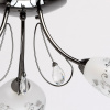 Потолочная люстра MW-Light Фиеста 2 267013403