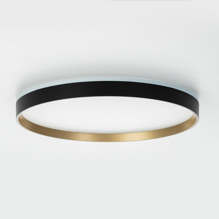 Накладной светильник Citilux ETALON CL750401R