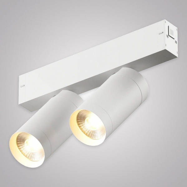 Светильник на штанге AM-Group SMART CYLINDER AM528 WH-220V-2X10W SMART