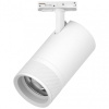 Светильник на штанге Lightstar Canno Pro C4406SS