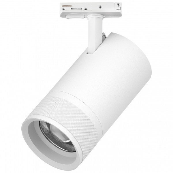 Светильник на штанге Lightstar Canno Pro C4406SS
