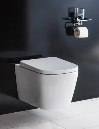 Крышка-сиденье BelBagno Albano BB120SC с микролифтом петли хром