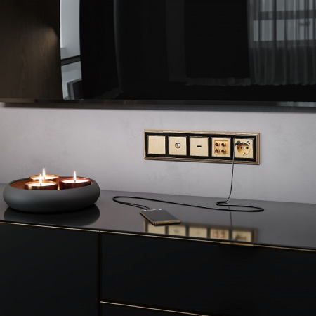 ТВ-розетка без рамки Werkel шампань рифленый W1183010