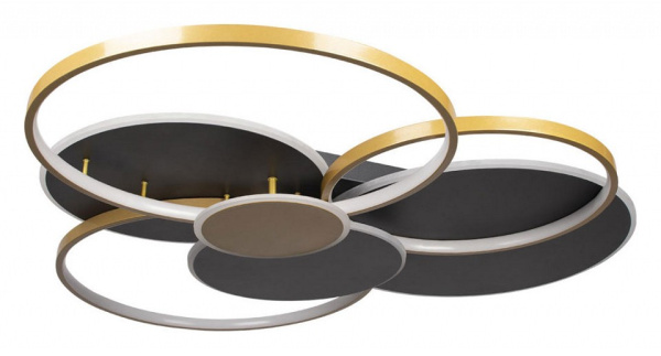 Потолочная люстра Loft it Megan 10163 Black