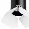 Спот Lightstar Rullo RB437436
