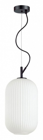 Подвесной светильник Odeon Light Roofi 4751/1