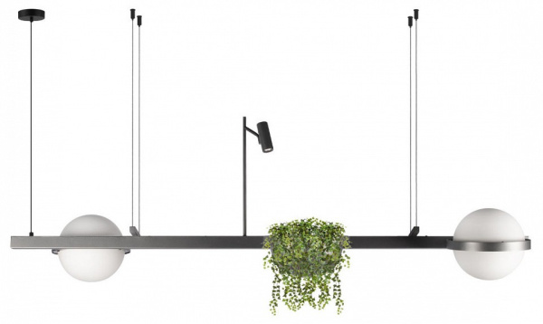 Подвесной светильник Loft it Jardin 10121/D Dark grey