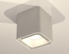 Накладной светильник Ambrella Light XS XS7840001