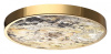 Накладной светильник Odeon Light Bergi 5079/40L
