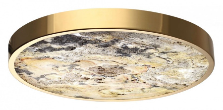 Накладной светильник Odeon Light Bergi 5079/40L