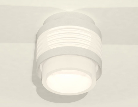 Накладной светильник Ambrella Light XS XS8431001