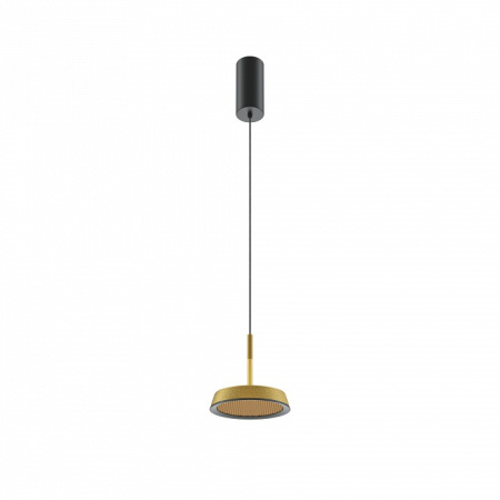 Подвесной светильник Maytoni El MOD041PL-L15G3K