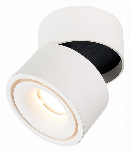 Светильник на штанге ST-Luce ST652 ST652.532.12