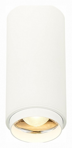 Накладной светильник ST-Luce Zoom ST600.532.10
