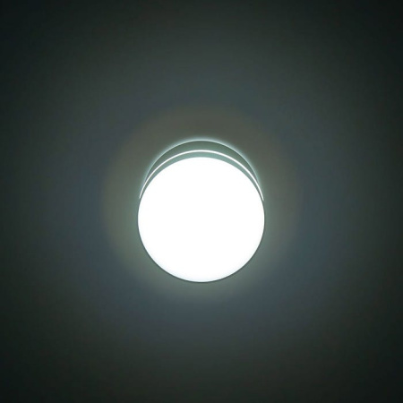 Накладной светильник Citilux Борн CL745021N