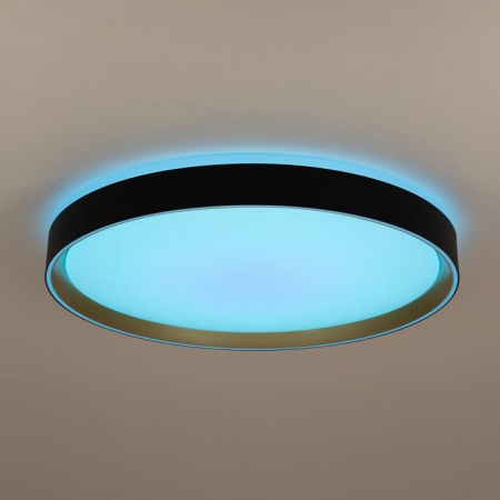 Накладной светильник Citilux BOSS CL751451G