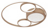 Потолочная люстра Favourite Campus 4681-4C