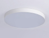 Накладной светильник Ambrella Light FV FV5536