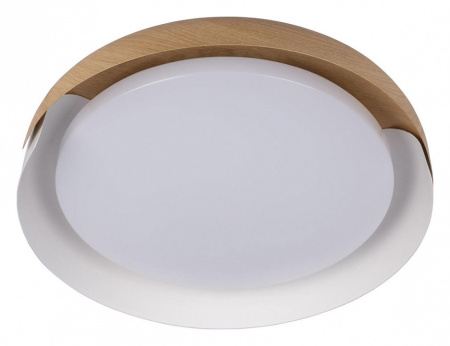 Накладной светильник Loft it Coin 10198 White