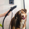 Душевая лейка для собак Hansgrohe DogShower 26640670 черная матовая
