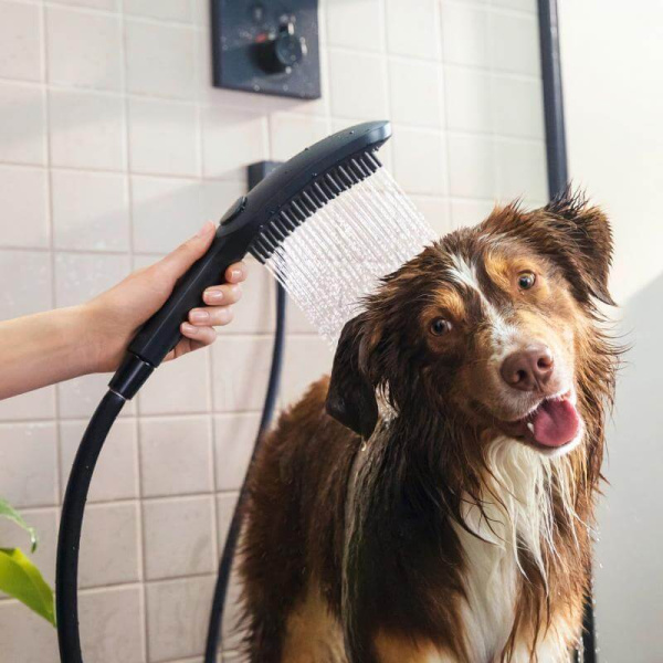 Душевая лейка для собак Hansgrohe DogShower 26640670 черная матовая