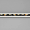 Лента светодиодная Arlight RT-A160 029427(2)