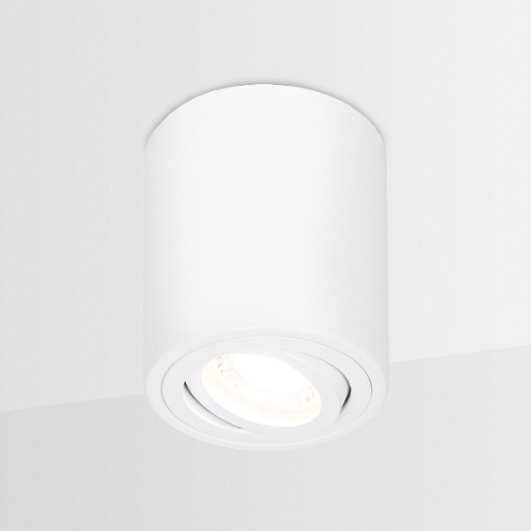 Накладной светильник Ambrella Light TN TN225