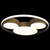 Накладной светильник Loft it Mike 10168