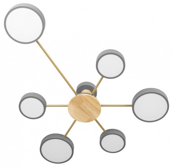 Потолочная люстра Loft it Sunrise 10316/6 Grey