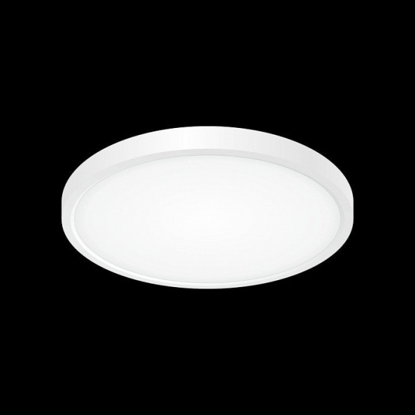 Накладной светильник Citilux Бейсик CL738240V