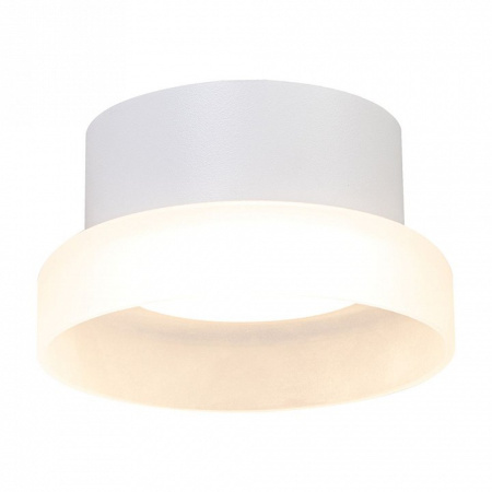 Накладной светильник Feron HL460 51682