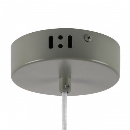 Подвесной светильник Lightstar Erbareo 799019