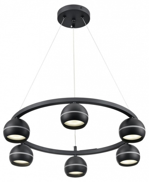 Подвесная люстра Lumion Luazana 8242/6