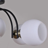 Потолочная люстра ILLUMICO  IL0250-5CSQ-79 BK AB