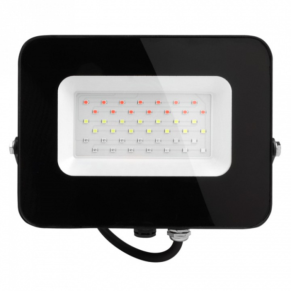 Настенно-потолочный прожектор Jazzway  PFL-30W RGB BL IP65