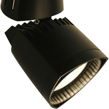 Светильник на штанге Arte Lamp 3830 A3830PL-1BK