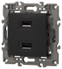 Розетка 2хUSB type A без рамки Эра Эра Elegance 14-4110-05