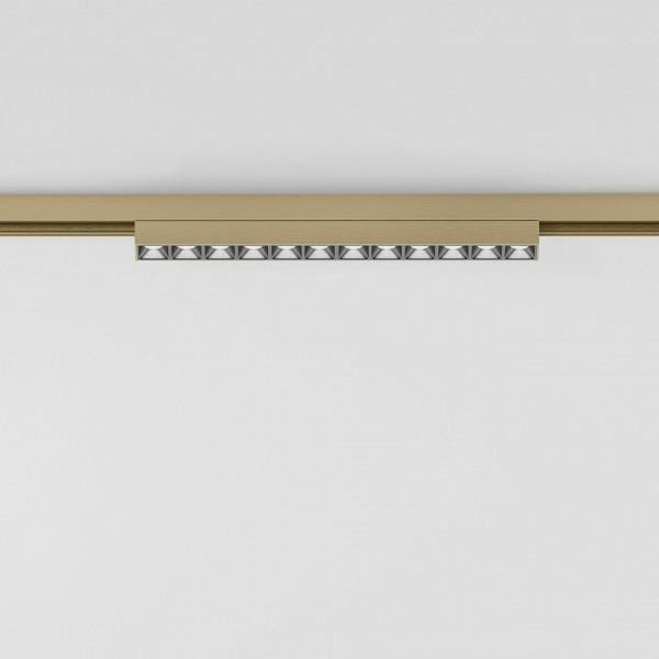 Накладной светильник Elektrostandard  85528/01