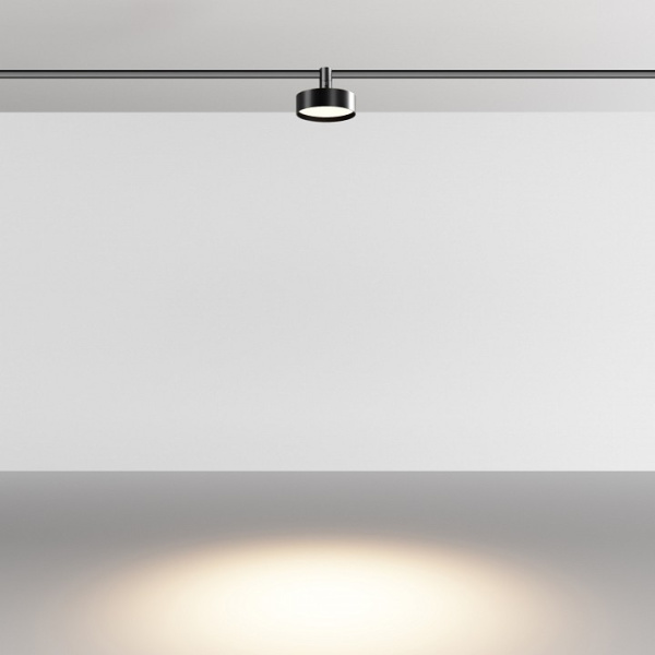 Светильник на штанге Maytoni Technical Зон TR204-1-12W3K-B