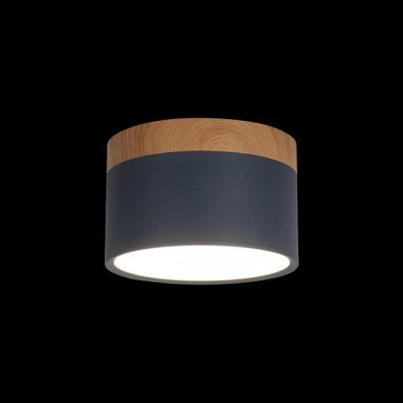 Накладной светильник Loft it Grape 10162 Blue