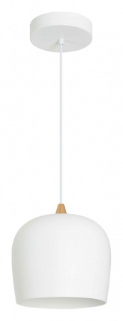 Подвесной светильник Arlight PEONY 39548