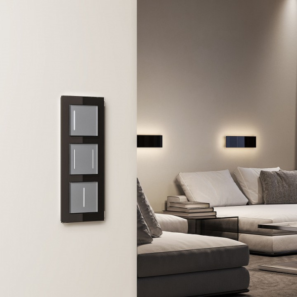 Выключатель сенсорый одноклавишный с подсветкой и функцией Wi-Fi без рамки Werkel серебряный W4513006