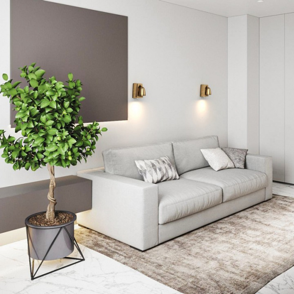 Бра Covali WL-30812