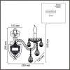 Бра Lumion CLASSI 8376/1W