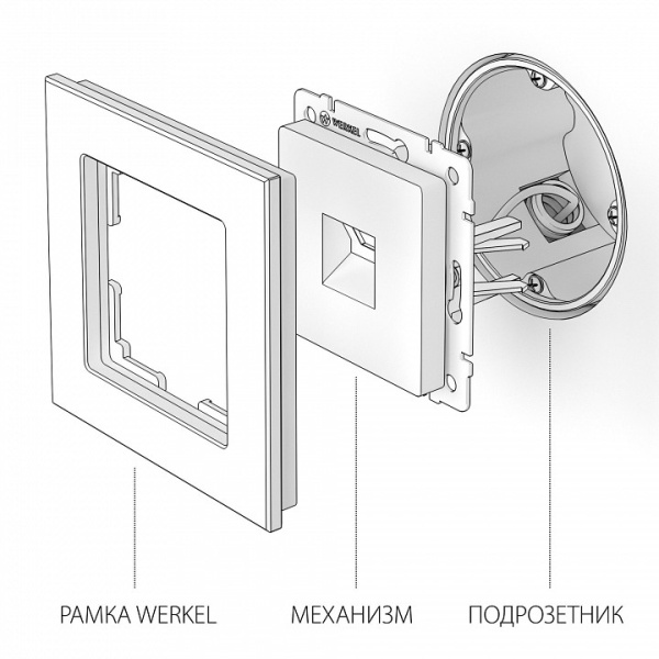 Розетка Ethernet RJ-45 без рамки Werkel  W1181006