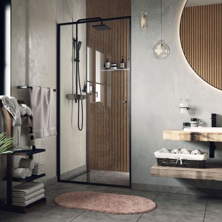Диль (Dill) 61S05 Душевая дверь