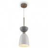 Подвесной светильник Maytoni Клош MOD113PL-01W