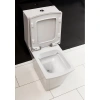 Чаша напольного безободкового унитаза BelBagno Regina BB104CP
