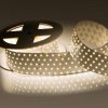 Лента светодиодная Arlight RT 2-2500 24V White6000 5x2 (2835 875 LED LUX) 019082(B)