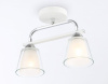 Светильник на штанге Ambrella Light TR TR303229
